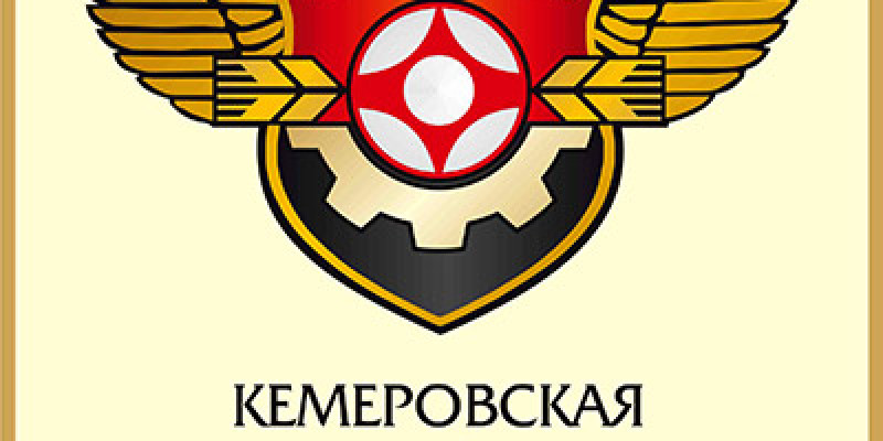 Открытое первенство Кемерово по киокусинкай