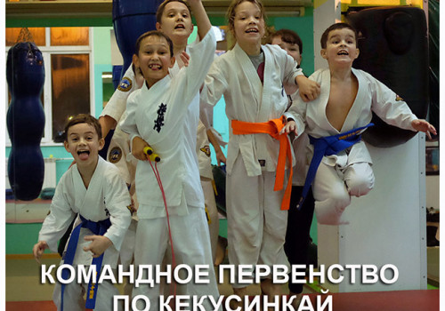 Командное первенство по кекусинкай 