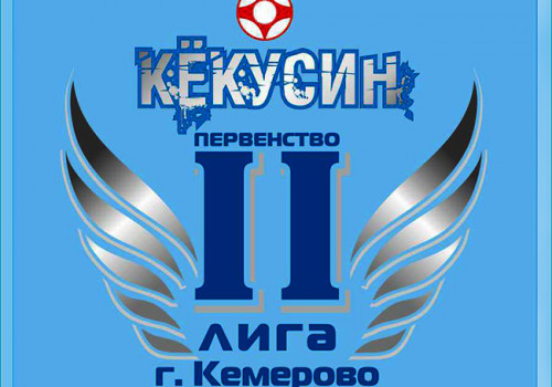 Первенство Кемерово по киокусинкай