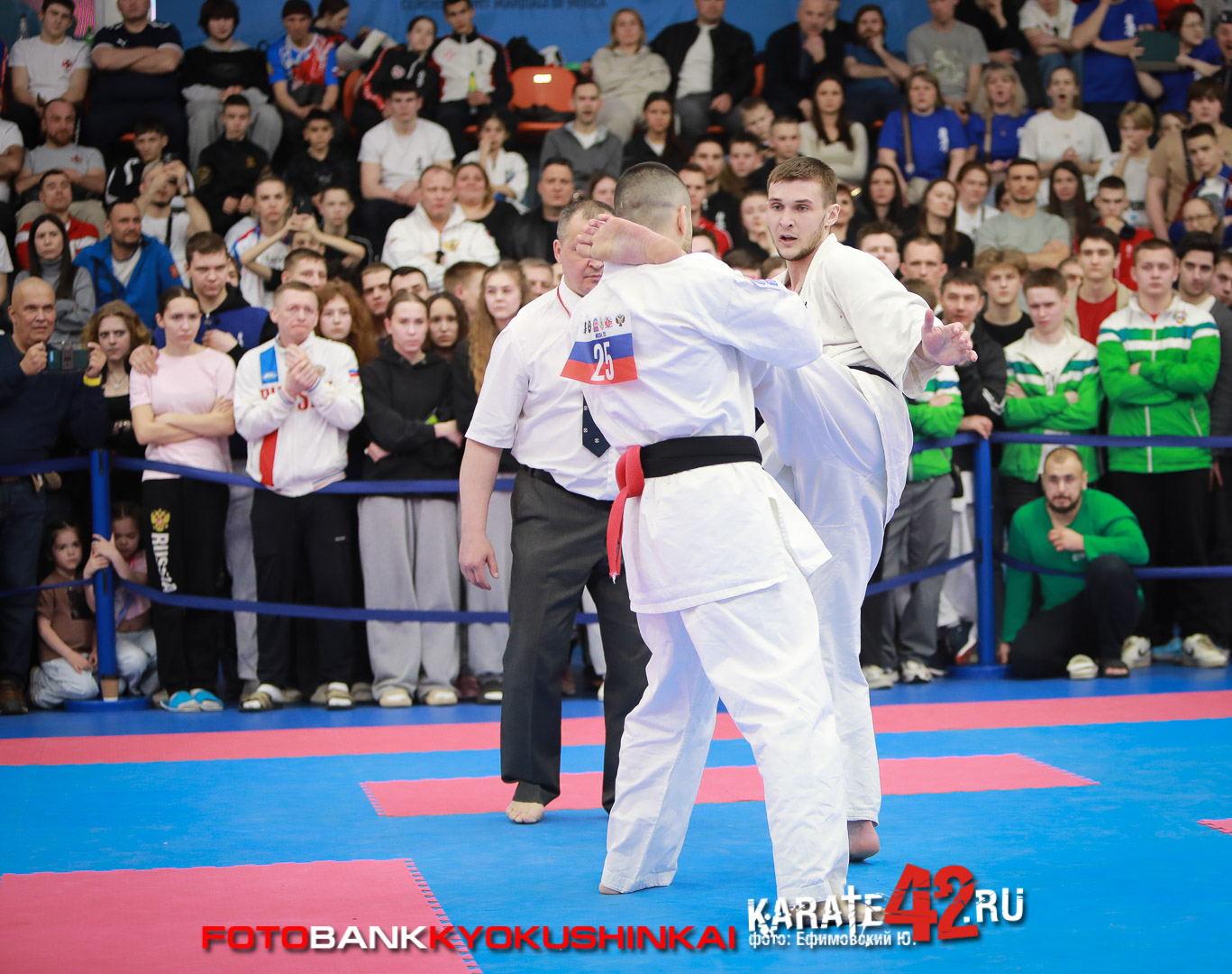 EfimovskiyYGe-0450
