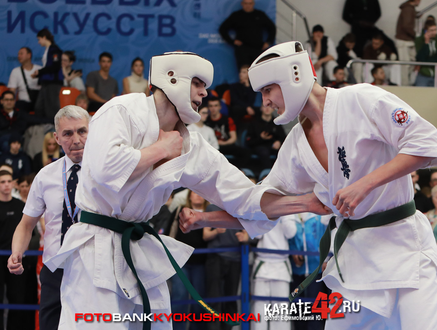 EfimovskiyYGe-7178