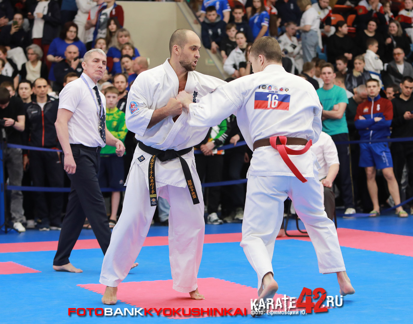EfimovskiyYGe-7909