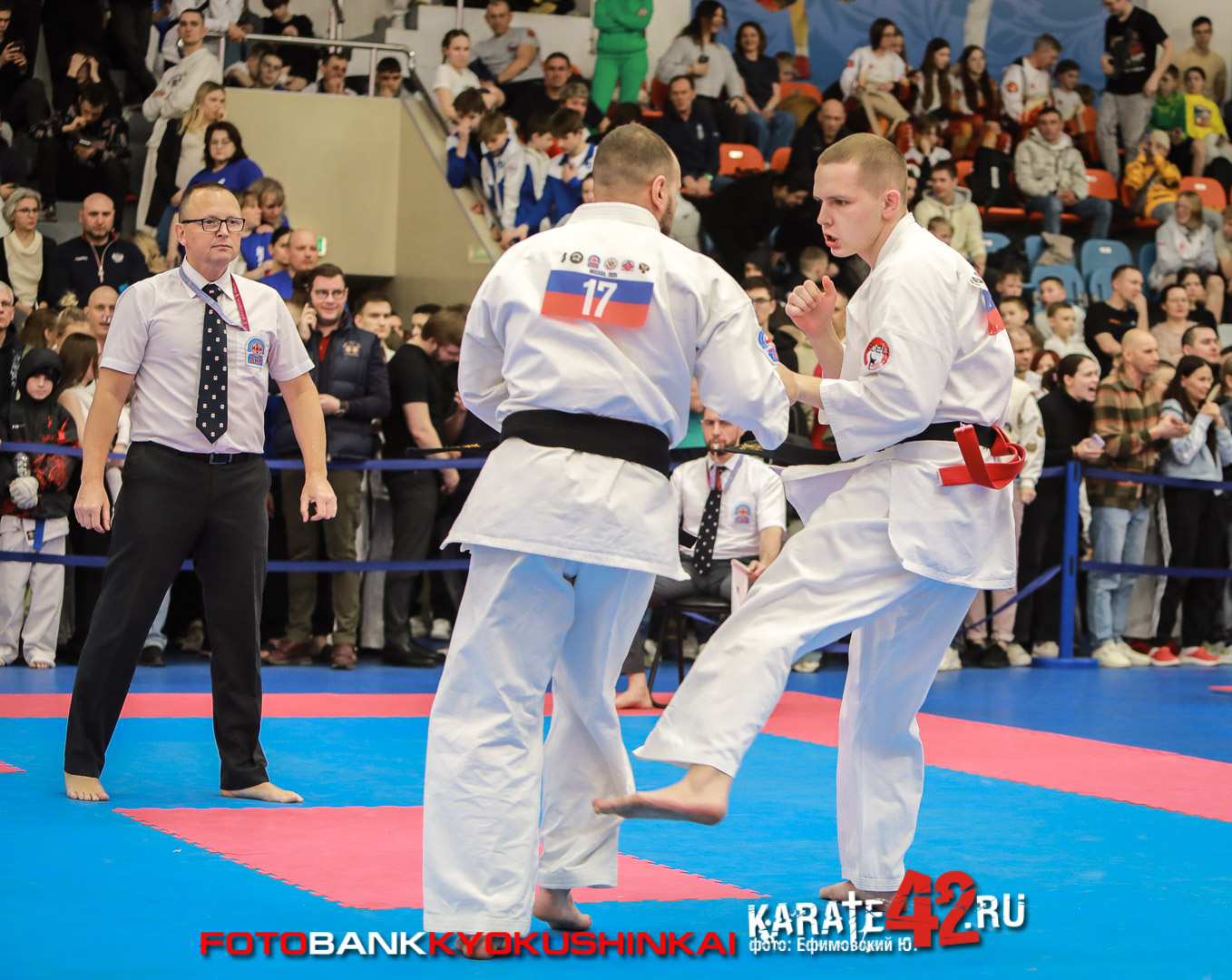EfimovskiyYGe-8233