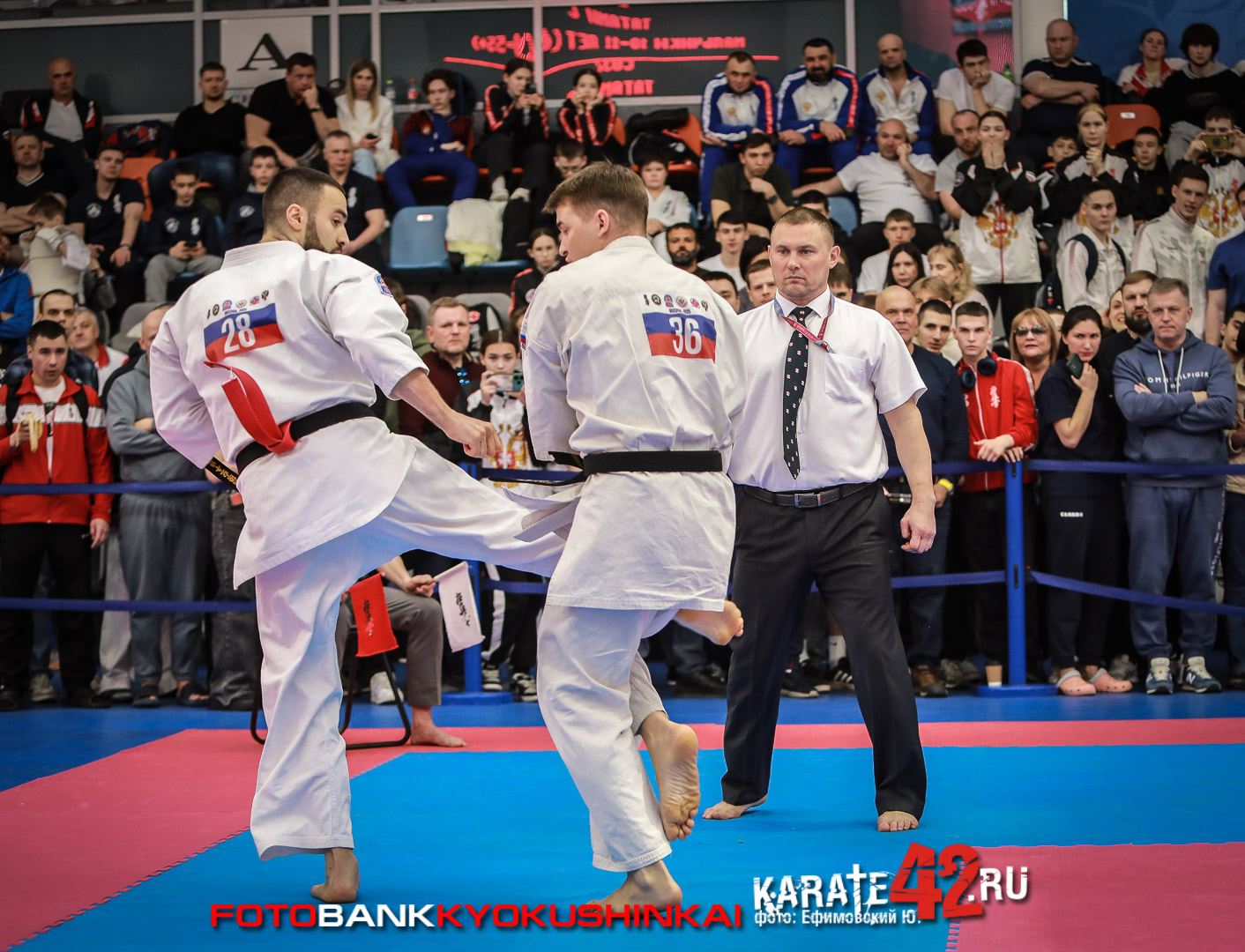 EfimovskiyYGe-9222