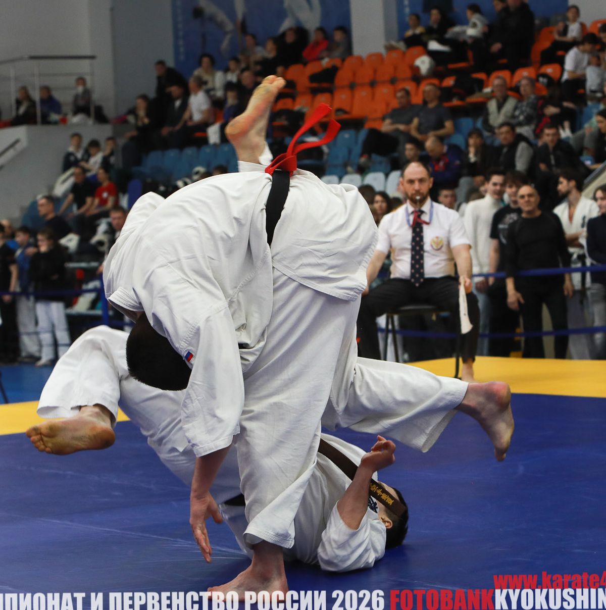EfimovskeyYG-8990