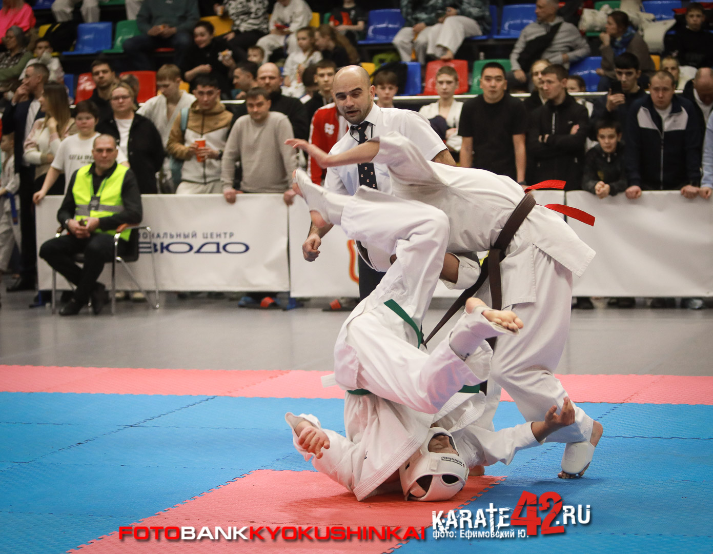 EfimovskeyYuG-3862