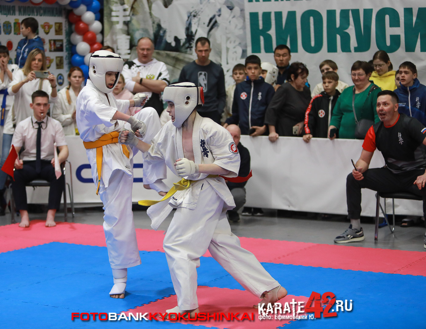 EfimovskeyYuG-3889