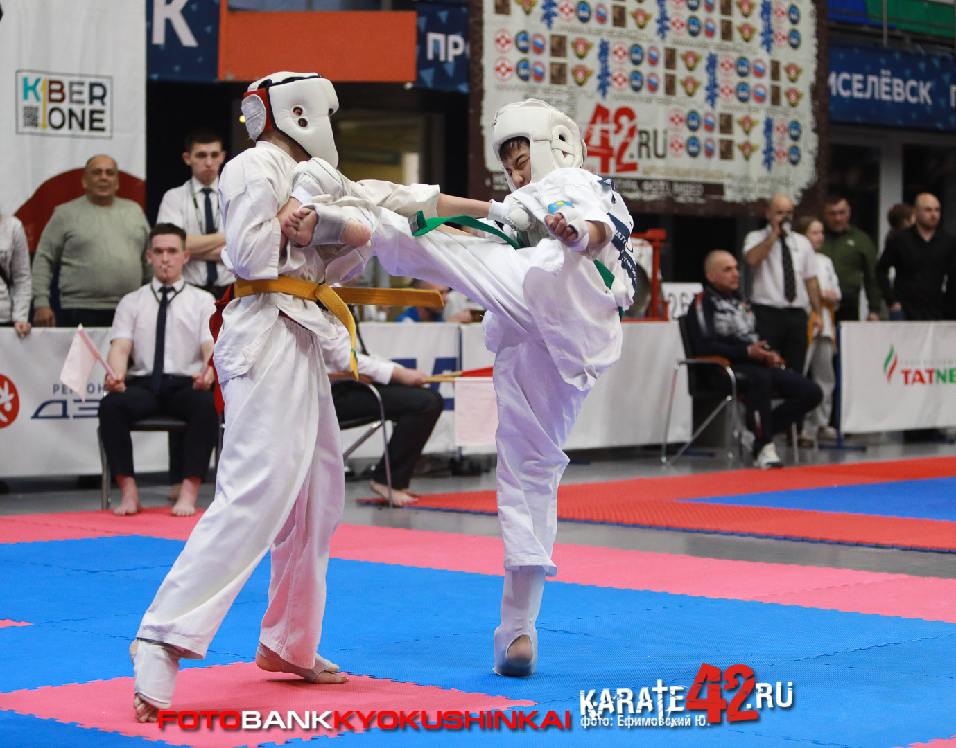 EfimovskeyYuG-4522