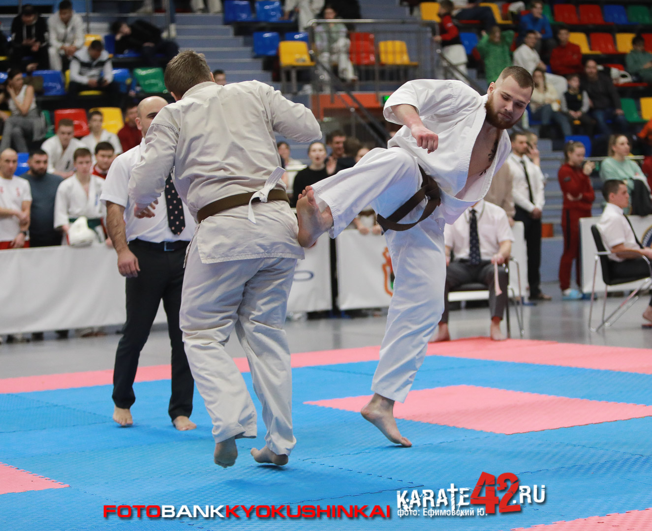 EfimovskeyYuG-4638