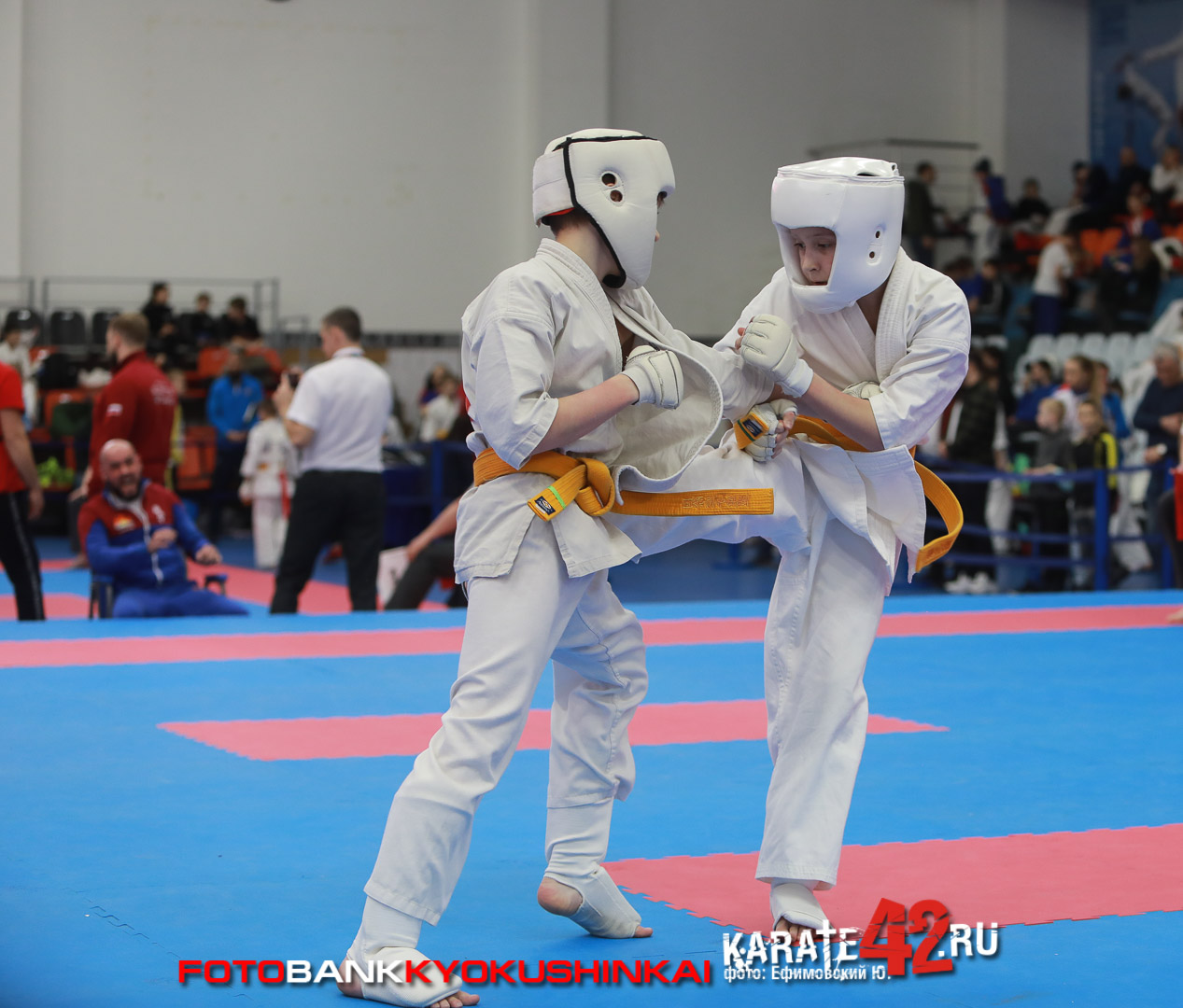 EfimovskeyYG-8234