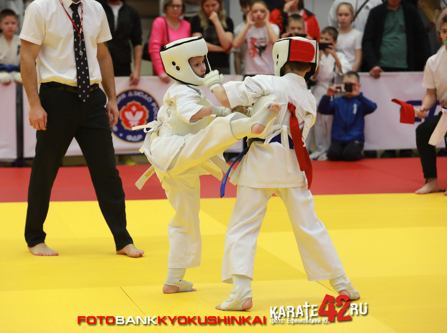 EfimovskiyYG-1146