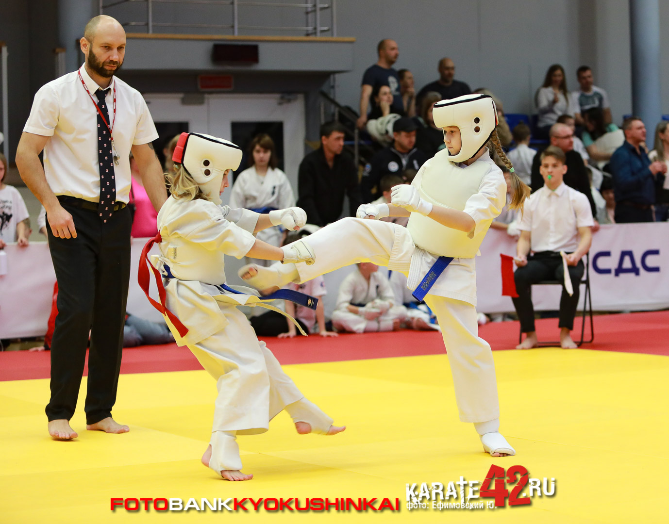 EfimovskiyYG-1175