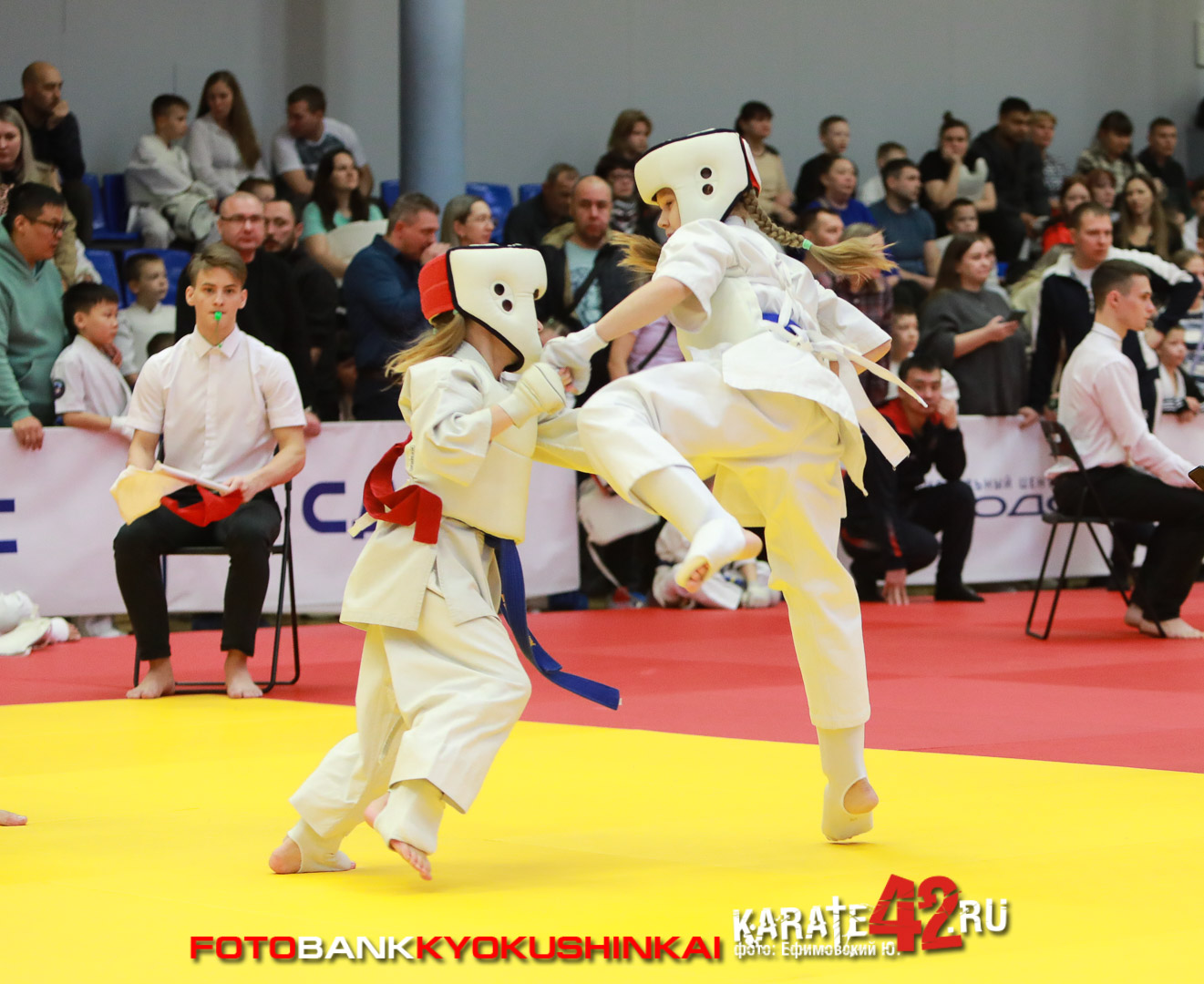 EfimovskiyYG-1192