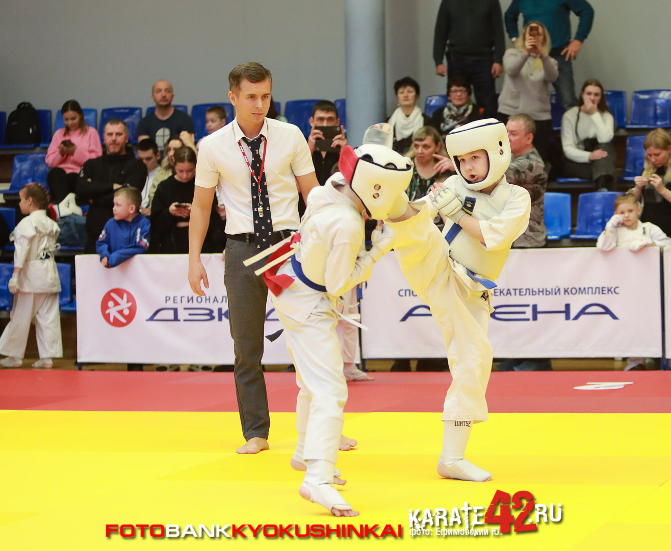EfimovskiyYG-1447