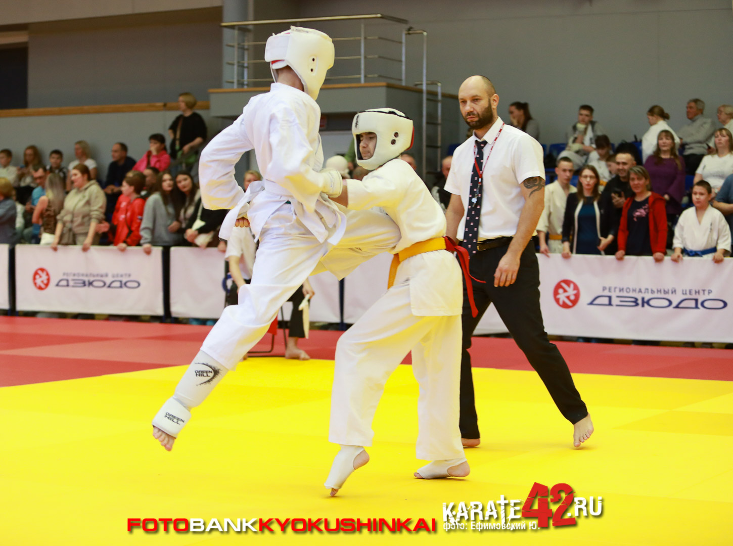 EfimovskiyYG-1766