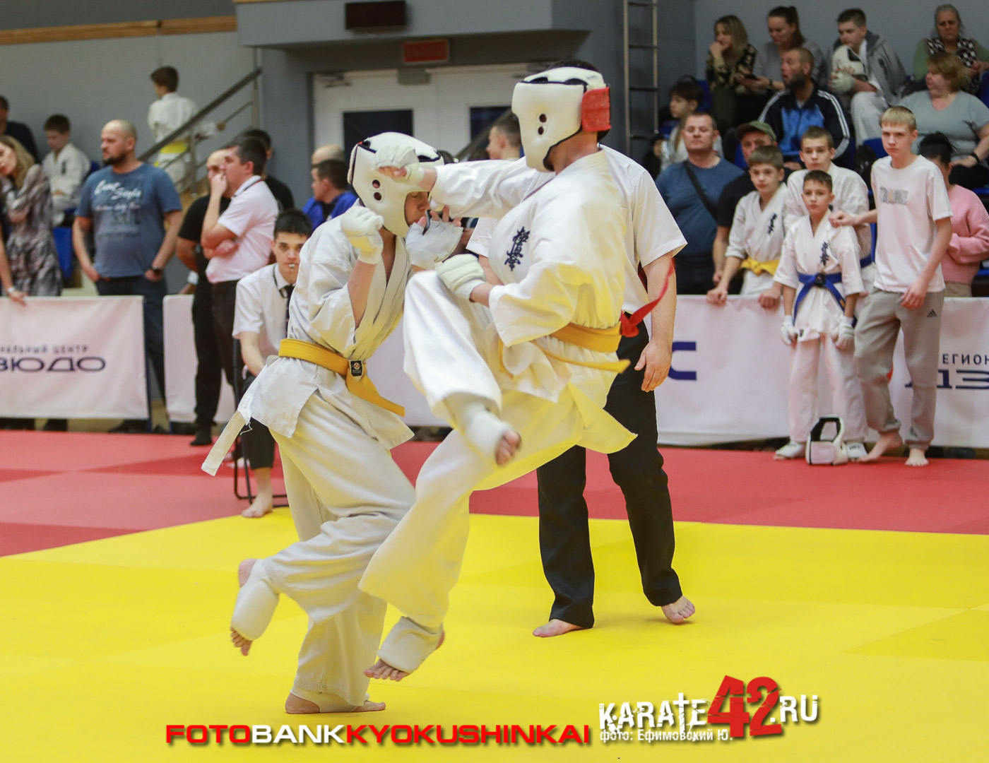 EfimovskiyYG-2149