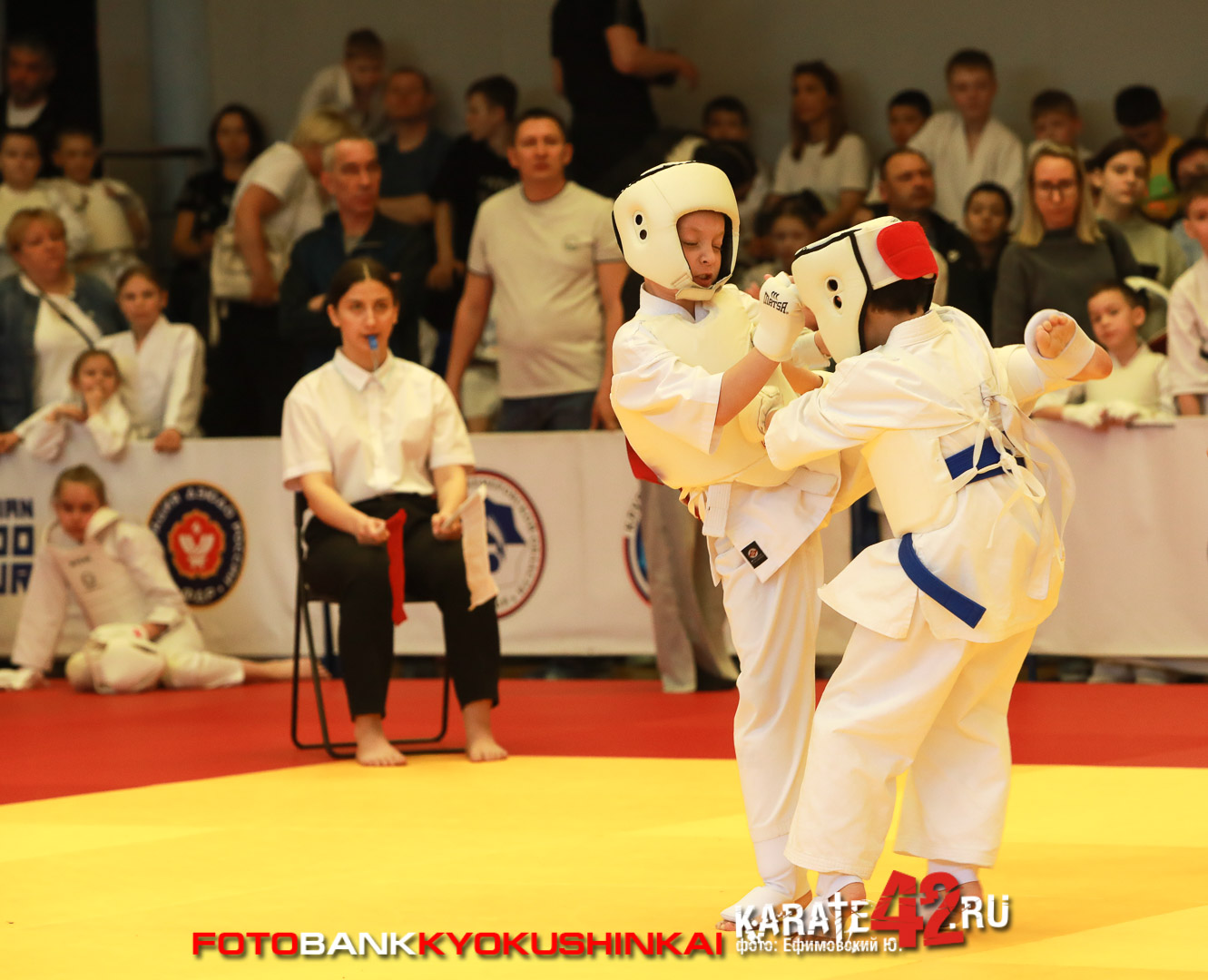 EfimovskiyYGenn-0603