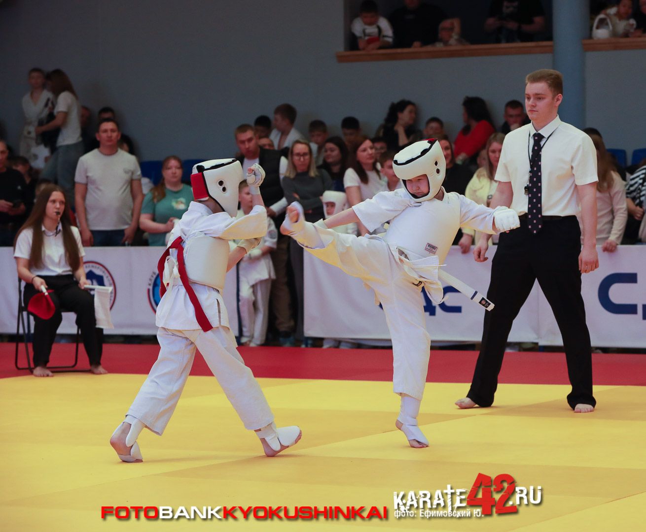 EfimovskiyYGenn-0609