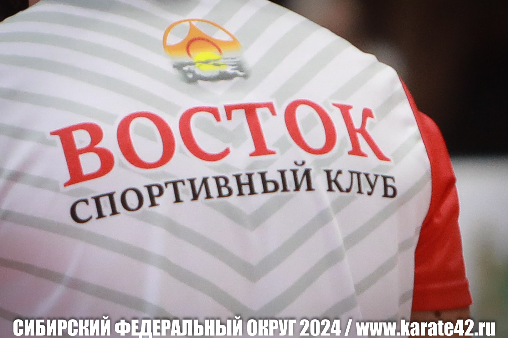 EfimovskiyYG-0061