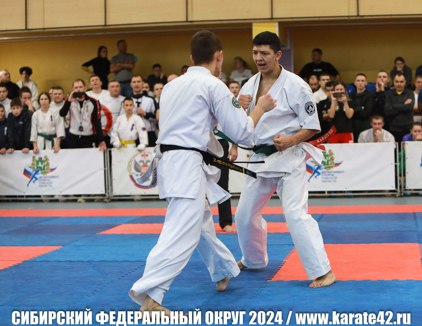 EfimovskiyYG-0697