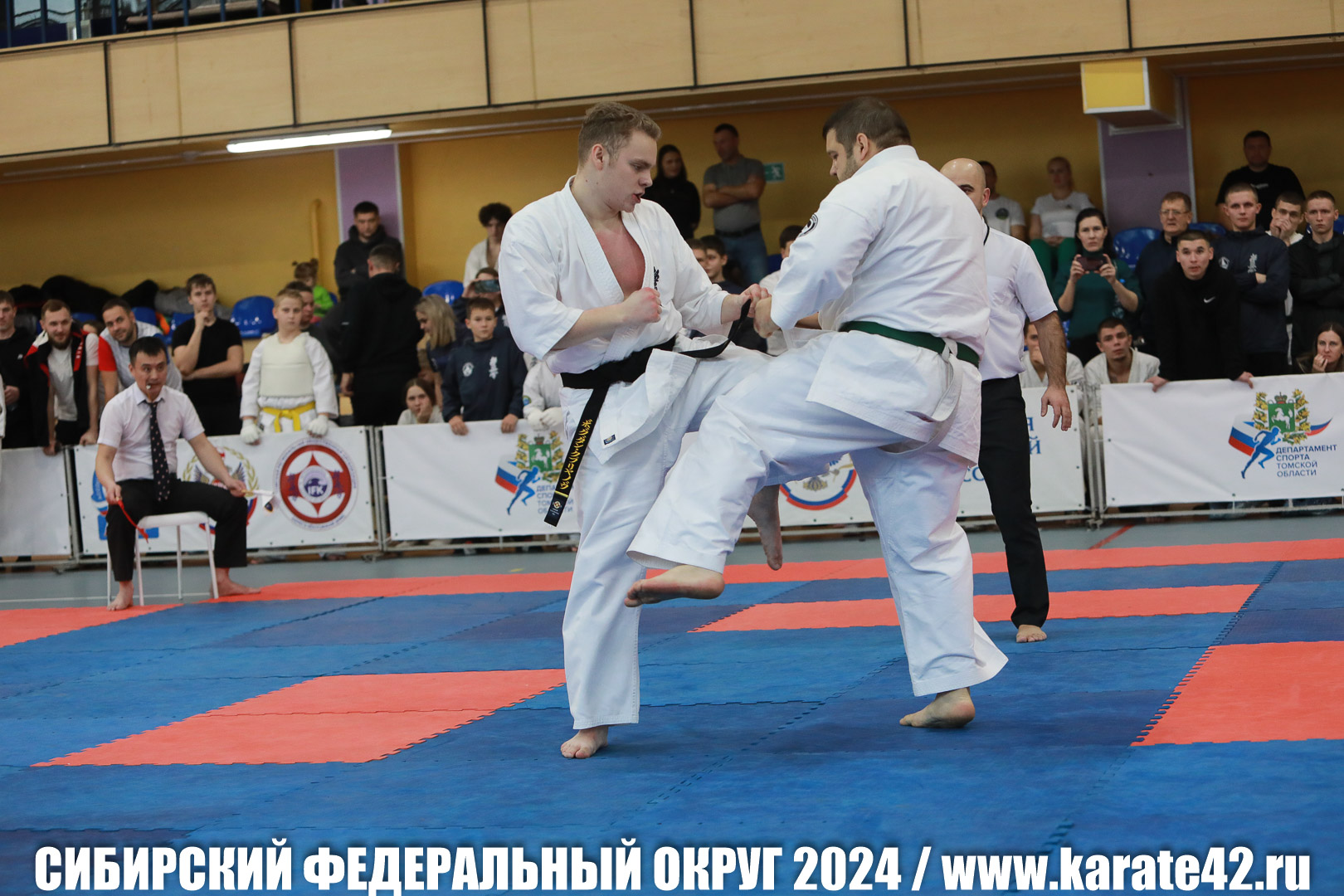EfimovskiyYG-0787