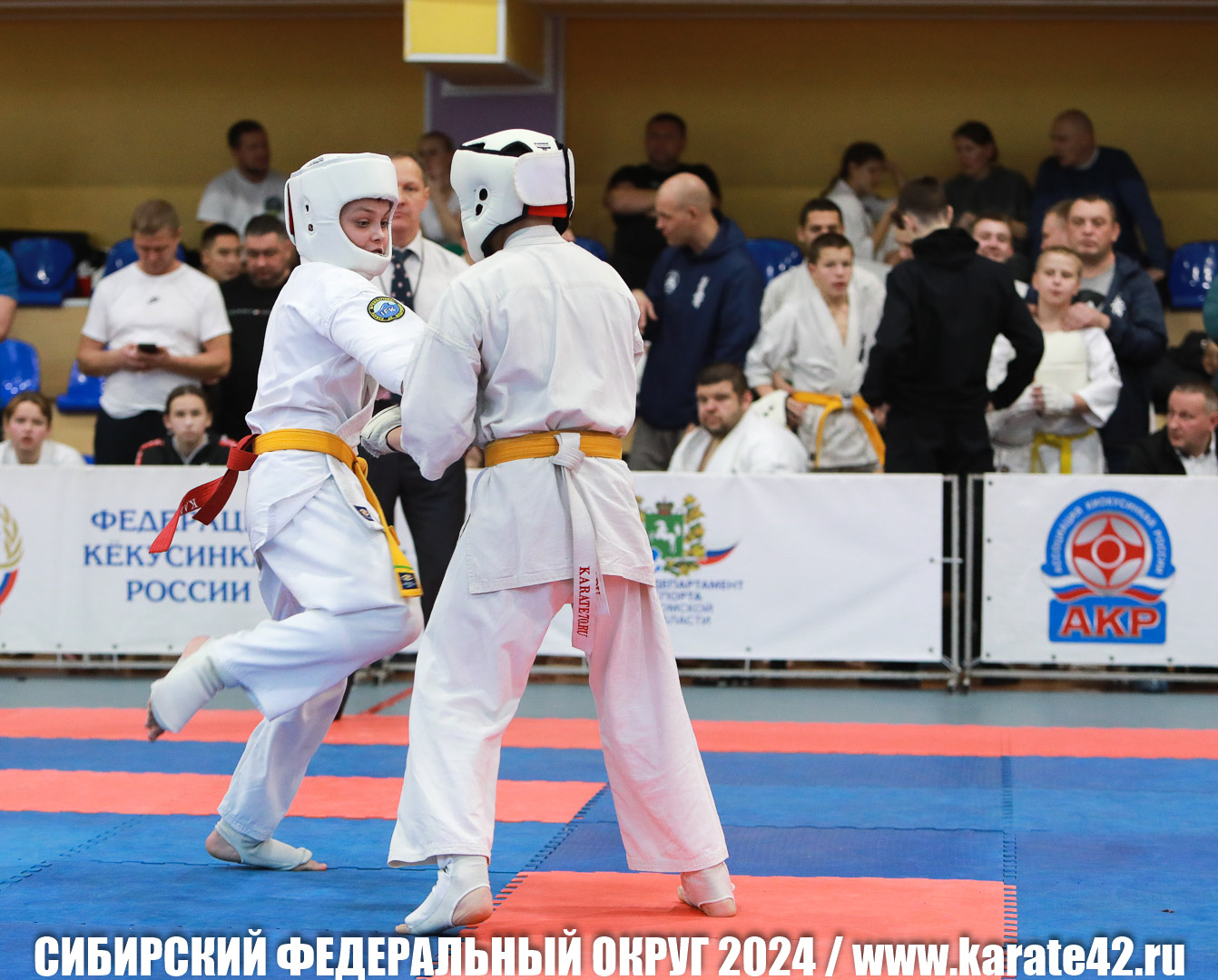 EfimovskiyYG-0836