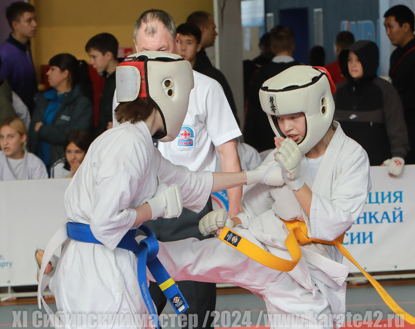 EfimovskiyYuG-5884