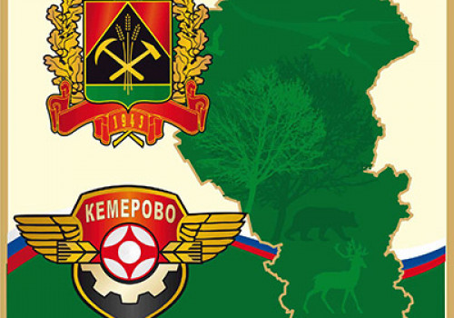 Соревнования 8-9 июня по киокусинкай